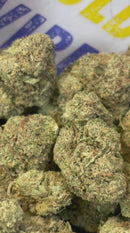 BISCOTTI - ESPAGNOL (Δ-9 THC)