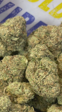 BISCOTTI - ESPAGNOL (Δ-9 THC)