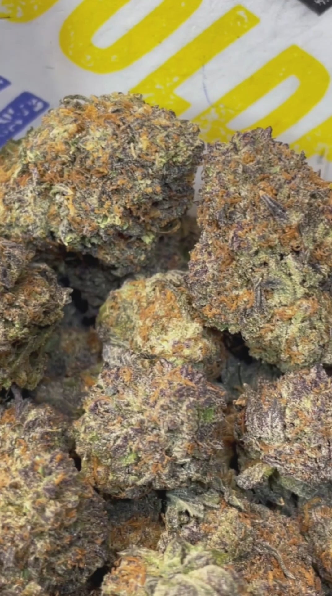 BLUEBERRY - ESPAGNOL (Δ-9 THC)