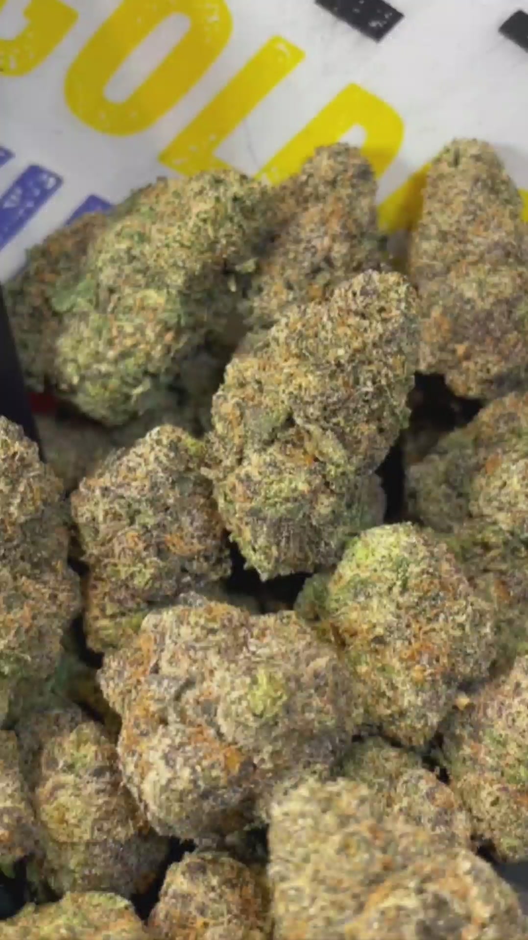 BLUEBERRY MUFFIN - HOLLANDAISE (Δ-9 THC)