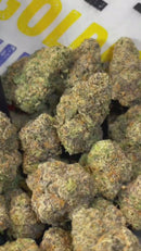 BLUEBERRY MUFFIN - HOLLANDAISE (Δ-9 THC)