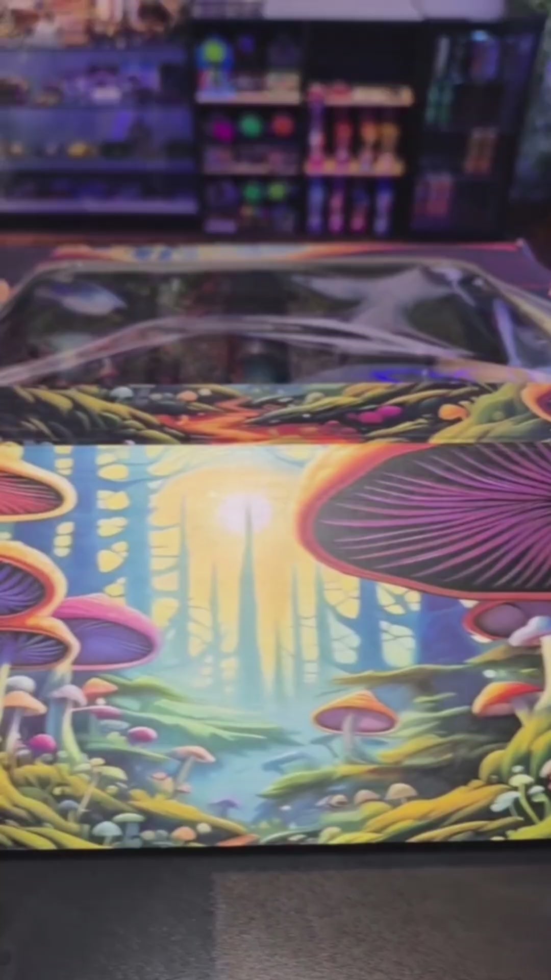 COFFRET CRAZY MUSHROOMS
