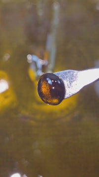 LEMON HAZE - NECTAR FULL MELT (Δ-9 THC)