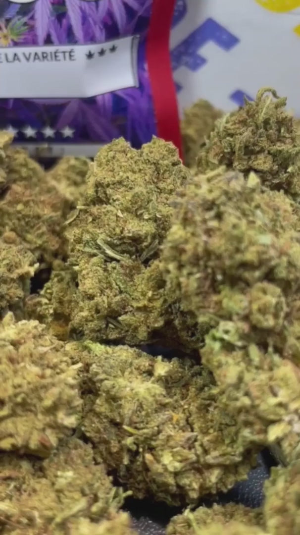 PINK LADY KUSH (CBD)