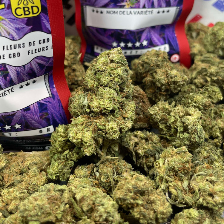 Image of AMNESIA HAZE (CBD)